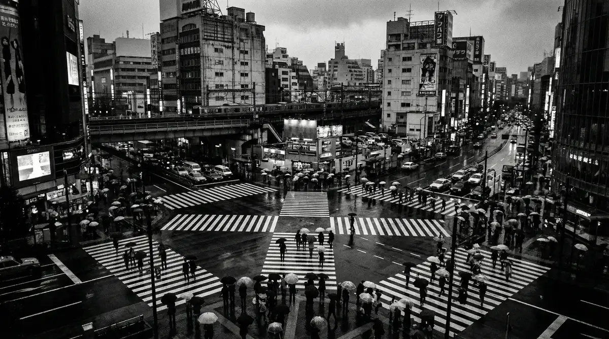雨中城市十字路口的行人群像